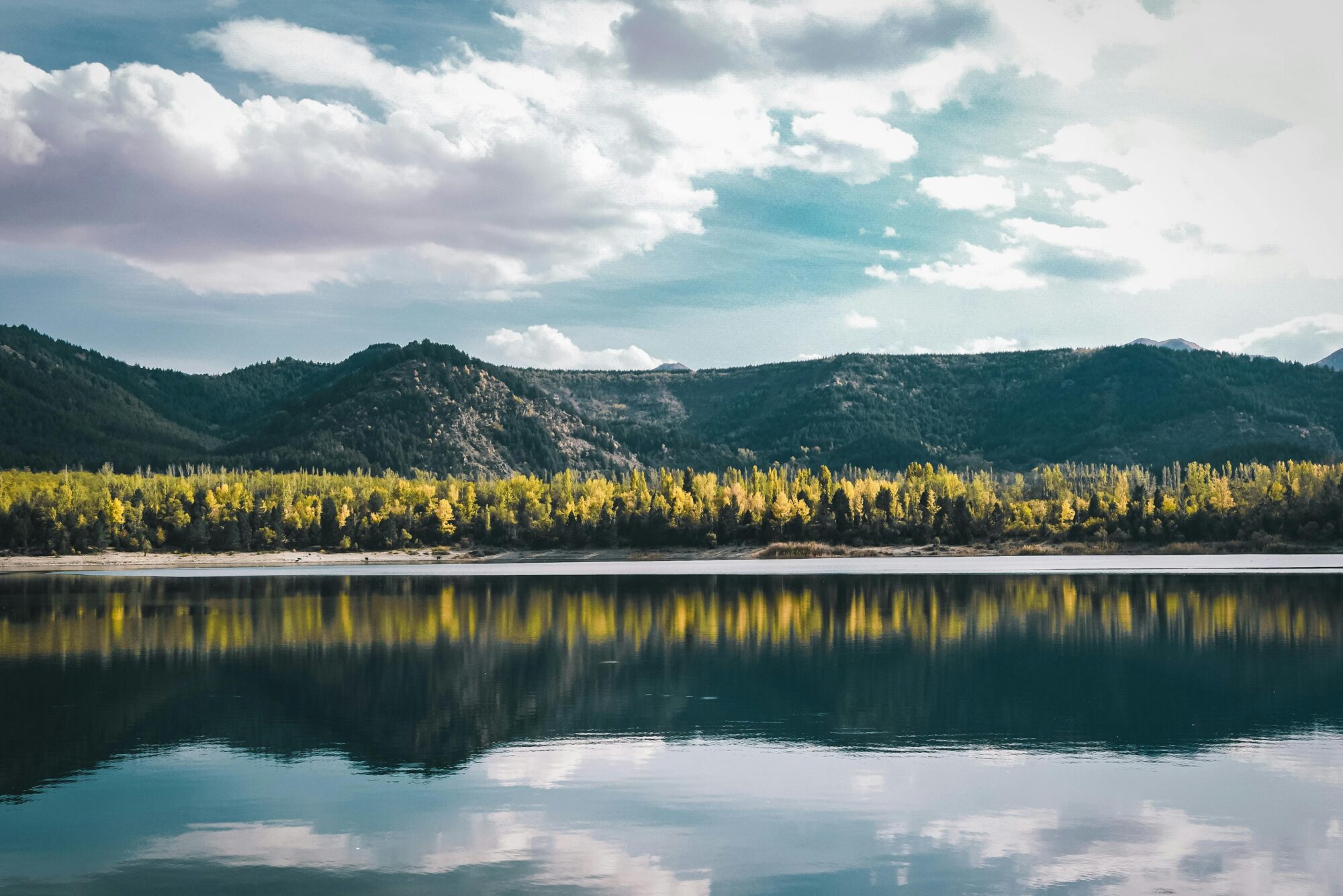 About Us pexels-photo-34363170-34363170.jpg